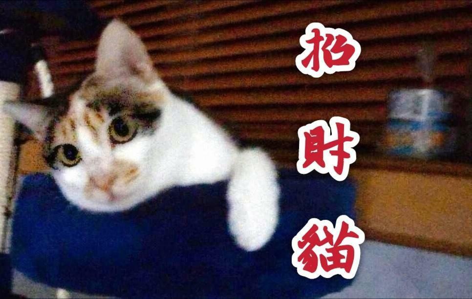マイ ストーリー イン ジォウフェン 九份 エクステリア 写真
